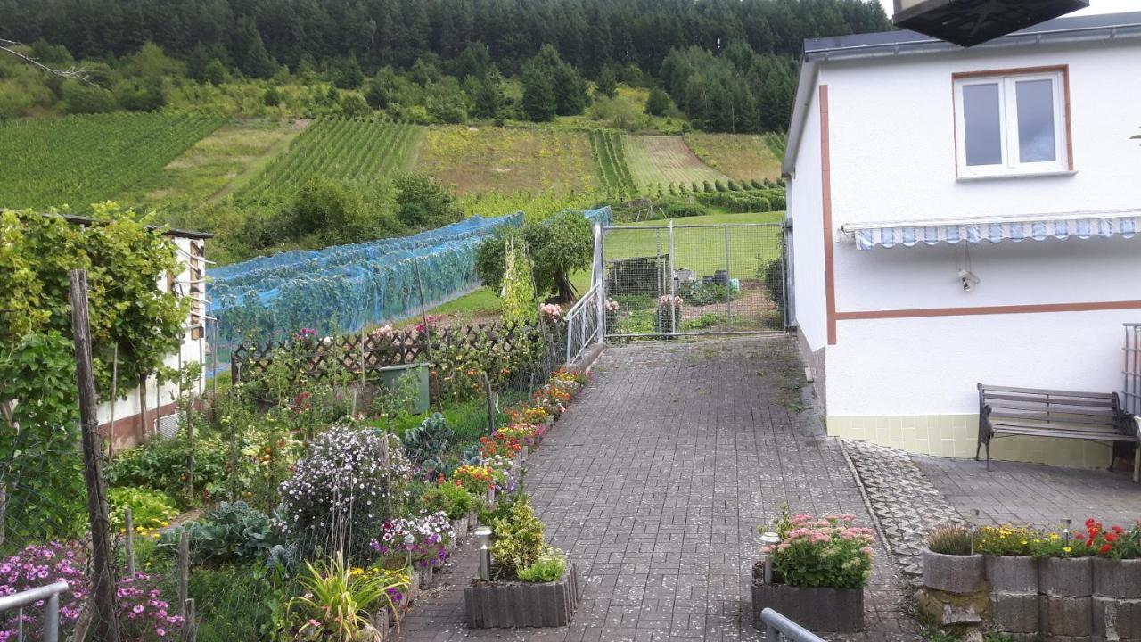 Zwei Ferienwohnungen "Im Weingarten " Burg  Екстер'єр фото