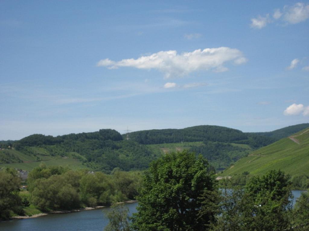 Zwei Ferienwohnungen "Im Weingarten " Burg  Екстер'єр фото